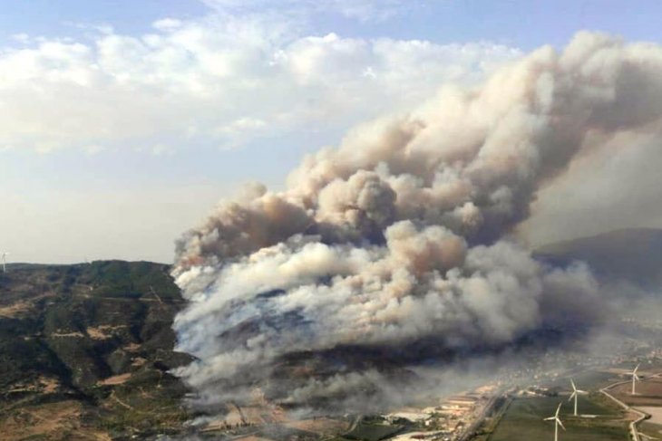 Aydın Söke'deki orman yangını kontrol altına alındı